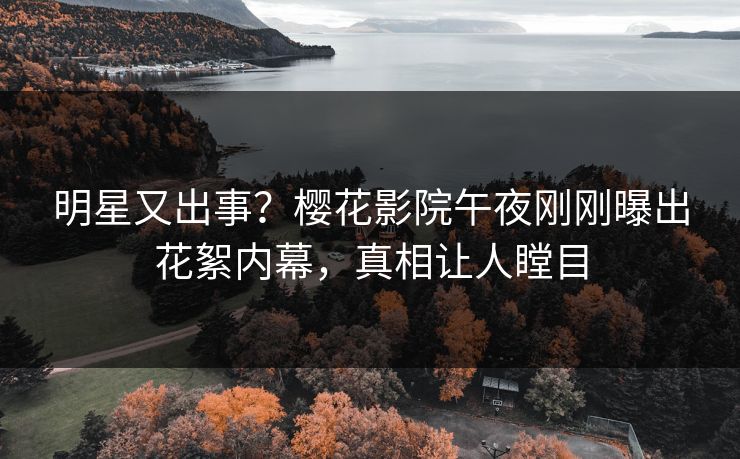 明星又出事？樱花影院午夜刚刚曝出花絮内幕，真相让人瞠目