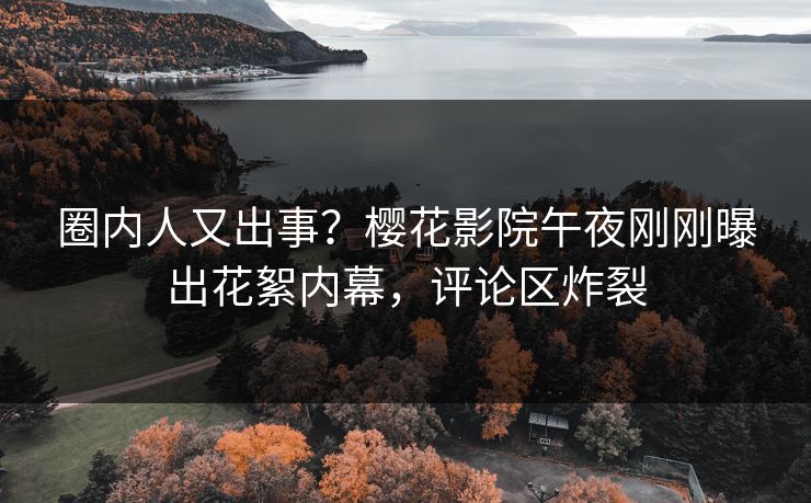 圈内人又出事？樱花影院午夜刚刚曝出花絮内幕，评论区炸裂