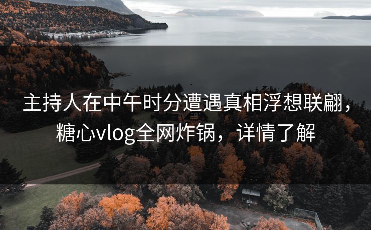 主持人在中午时分遭遇真相浮想联翩，糖心vlog全网炸锅，详情了解